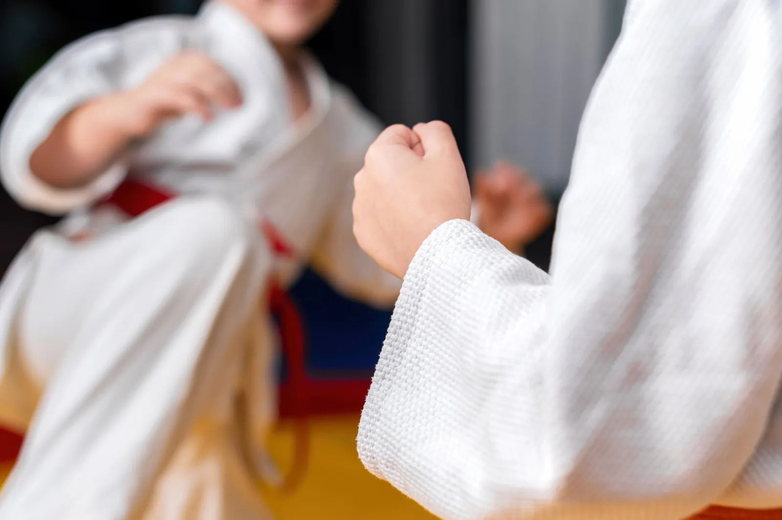 Welcome to Ancaster Jiu-Jitsu